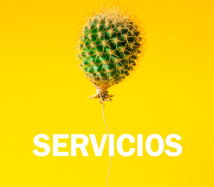 Servicios